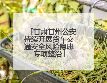 甘肃甘州公安持续开展货车交通安全风险隐患专项整治