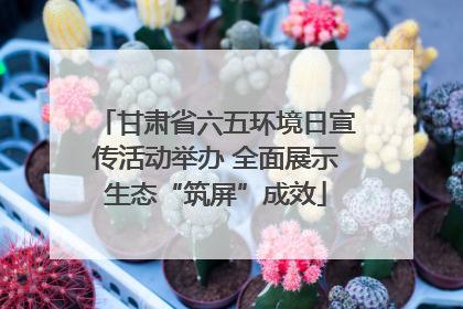 甘肃省六五环境日宣传活动举办 全面展示生态“筑屏”成效