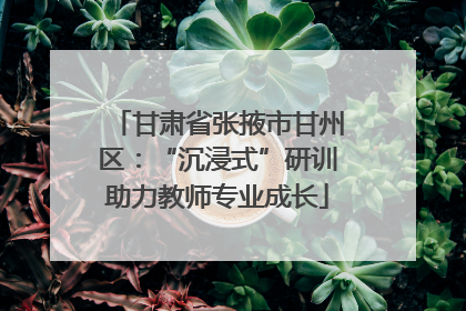甘肃省张掖市甘州区：“沉浸式”研训助力教师专业成长
