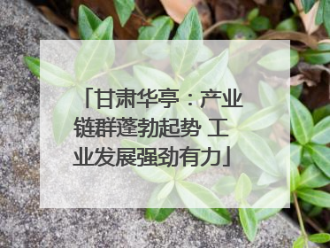 甘肃华亭：产业链群蓬勃起势 工业发展强劲有力