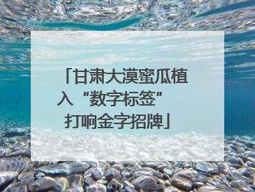 甘肃大漠蜜瓜植入“数字标签” 打响金字招牌
