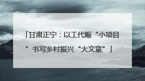 甘肃正宁：以工代赈“小项目”书写乡村振兴“大文章”