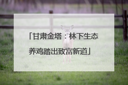 甘肃金塔：林下生态养鸡踏出致富新道