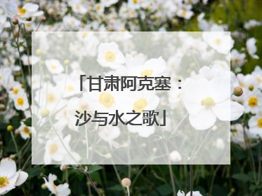 甘肃阿克塞：沙与水之歌