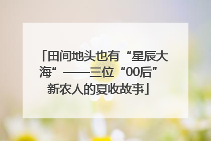 田间地头也有“星辰大海”——三位“00后”新农人的夏收故事