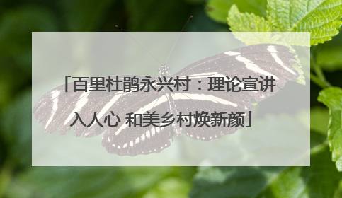 百里杜鹃永兴村：理论宣讲入人心 和美乡村焕新颜