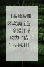 盐城盐都区盐渎街道：多措并举 助力“秸”尽其用