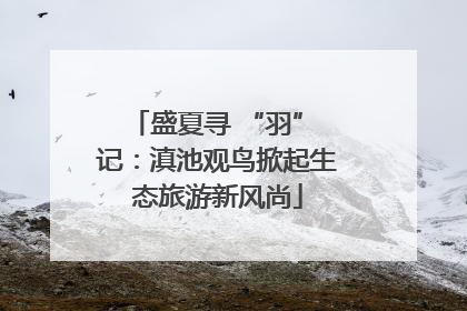 盛夏寻 “羽” 记：滇池观鸟掀起生态旅游新风尚