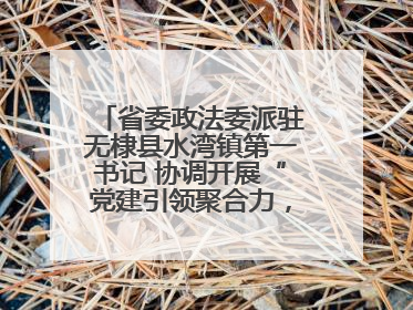 省委政法委派驻无棣县水湾镇第一书记 协调开展“党建引领聚合力，健康义诊惠乡亲”义诊活动