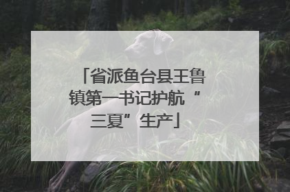 省派鱼台县王鲁镇第一书记护航“三夏”生产