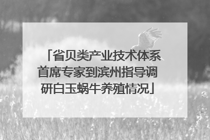 省贝类产业技术体系首席专家到滨州指导调研白玉蜗牛养殖情况