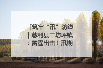筑牢“汛”防线｜慈利县二坊坪镇：雷霆出击！汛期捕鱼被紧急叫停