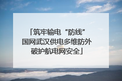 筑牢输电“防线” 国网武汉供电多维防外破护航电网安全