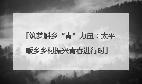 筑梦斛乡“青”力量：太平畈乡乡村振兴青春进行时