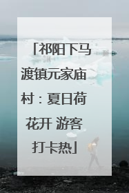 祁阳下马渡镇元家庙村：夏日荷花开 游客打卡热