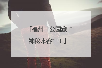 福州一公园藏“神秘来客”！