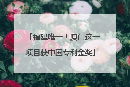 福建唯一！厦门这一项目获中国专利金奖