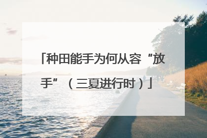 种田能手为何从容“放手”（三夏进行时）