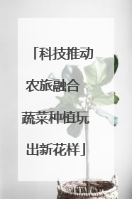 科技推动农旅融合 蔬菜种植玩出新花样