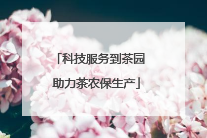 科技服务到茶园 助力茶农保生产