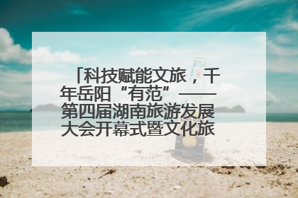科技赋能文旅，千年岳阳“有范”——第四届湖南旅游发展大会开幕式暨文化旅游推介会侧记