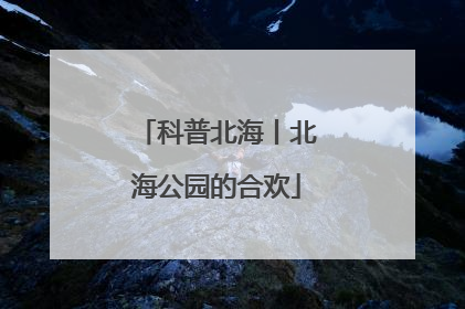 科普北海丨北海公园的合欢