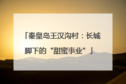 秦皇岛王汉沟村：长城脚下的“甜蜜事业”