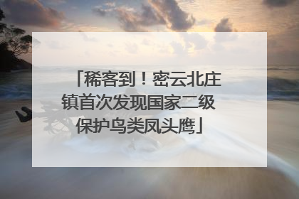 稀客到！密云北庄镇首次发现国家二级保护鸟类凤头鹰
