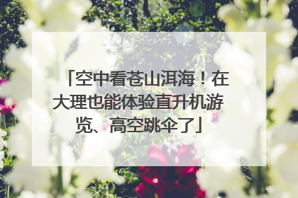 空中看苍山洱海！在大理也能体验直升机游览、高空跳伞了