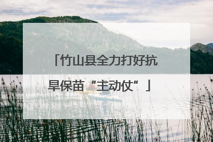 竹山县全力打好抗旱保苗“主动仗”