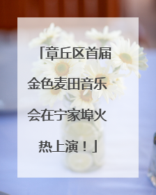 章丘区首届金色麦田音乐会在宁家埠火热上演！
