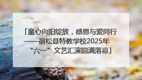 童心向阳绽放，感恩与爱同行——宿松县特教学校2025年“六一”文艺汇演圆满落幕