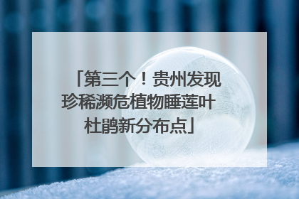 第三个！贵州发现珍稀濒危植物睡莲叶杜鹃新分布点