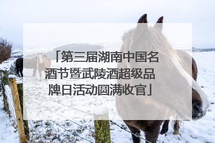 第三届湖南中国名酒节暨武陵酒超级品牌日活动圆满收官