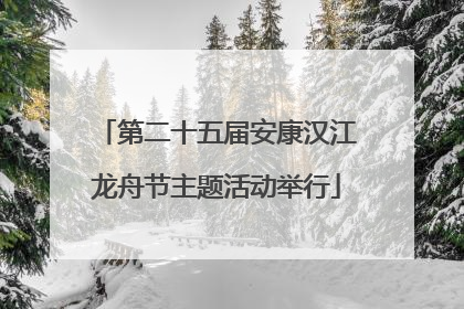 第二十五届安康汉江龙舟节主题活动举行