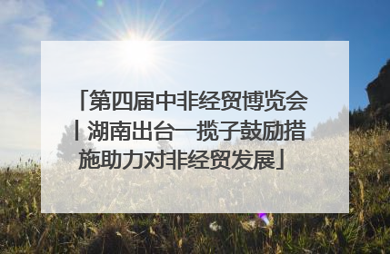 第四届中非经贸博览会丨湖南出台一揽子鼓励措施助力对非经贸发展