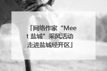 网络作家“Meet 盐城”采风活动走进盐城经开区