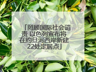 罔顾国际社会谴责 以色列宣布将在约旦河西岸新建22处定居点