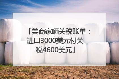 美商家晒关税账单：进口3000美元付关税4600美元