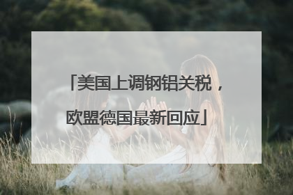 美国上调钢铝关税，欧盟德国最新回应