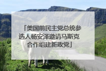 美国前民主党总统参选人杨安泽邀请马斯克合作组建新政党