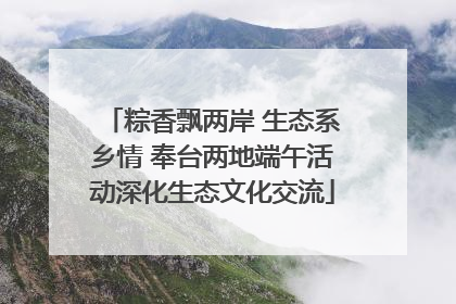 粽香飘两岸 生态系乡情 奉台两地端午活动深化生态文化交流
