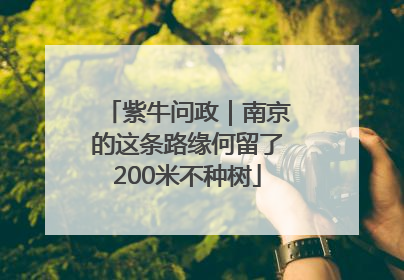 紫牛问政｜南京的这条路缘何留了200米不种树