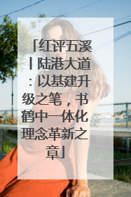 红评五溪丨陆港大道：以基建升级之笔，书鹤中一体化理念革新之章