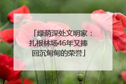 绿荫深处文明家：扎根林场46年又捧回沉甸甸的荣誉