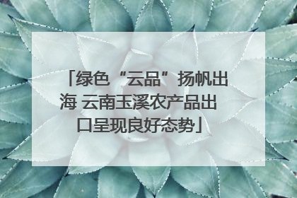 绿色“云品”扬帆出海 云南玉溪农产品出口呈现良好态势