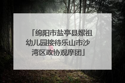 绵阳市盐亭县嫘祖幼儿园接待乐山市沙湾区政协观摩团