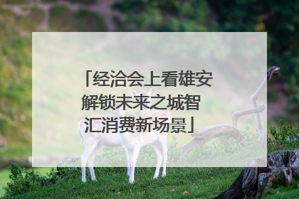 经洽会上看雄安 解锁未来之城智汇消费新场景