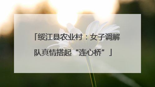 绥江县农业村：女子调解队真情搭起“连心桥”