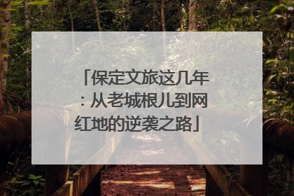 保定文旅这几年：从老城根儿到网红地的逆袭之路